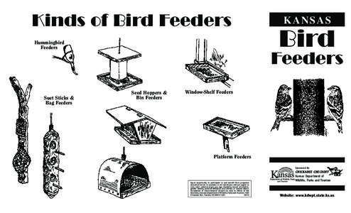 Kinds of Bird Feeders  KANSAS Bird