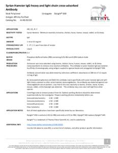 Syrian Hamster IgG-heavy and light chain cross-adsorbed Antibody Goat Polyclonal Conjugate