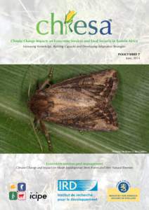 Hadeninae / Agriculture in Mesoamerica / Maize / Native American cuisine / Biological pest control / Busseola fusca / International Centre of Insect Physiology and Ecology / Food and drink / Agriculture / Biology