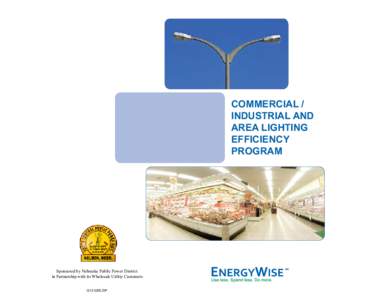 COMMERCIAL / INDUSTRIAL AND AREA LIGHTING EFFICIENCY PROGRAM