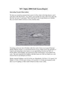 M/V Tiglax 2008 Field Season Report Interesting Oceanic Observations We had our second documented observation of a blue whale in the ships history, and it took place in the Rat Islands. Two whales were together not many 