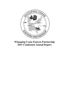 Grus / Whooping Crane / International Crane Foundation / Necedah National Wildlife Refuge / Crane / Operation Migration / Bird migration / Bird / Horicon Marsh / Ornithology / Wisconsin / Zoology