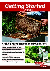 GettinginStarted Bees Keeping bees becomes an attitude to life. You may own the hives, but you don’t own the bees. Bees and humans have a