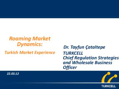 Roaming Market Dynamics: Turkish Market Experience[removed]