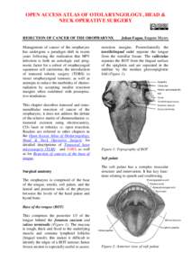 Infratemporal fossa / Maxillary artery / Lateral pterygoid muscle / Superior pharyngeal constrictor muscle / Ramus of the mandible / Mylohyoid muscle / Medial pterygoid muscle / Inferior alveolar artery / Facial artery / Human anatomy / Anatomy / Head and neck