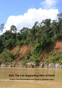 Tropical rainforest Amazonia, Madre de Dios, Peru