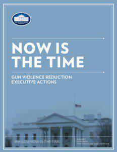 NOW IS THE TIME GUN VIOLENCE REDUCTION