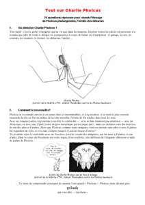 Tout sur Charlie Pholcus 25 questions-réponses pour réussir l’élevage de Pholcus phalangioides, l’ermite des débarras 1.	 Où dénicher Charlie Pholcus ? Très facile : c’est le genre d’araignée qui ne vit q