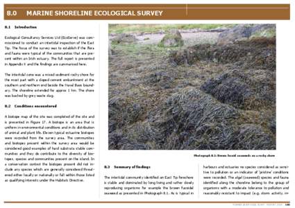 [removed]MARINE SHORELINE ECOLOGICAL SURVEY  Introduction