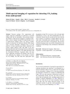 Environ Earth Sci DOIs12665SPECIAL ISSUE  Multi-spectral imaging of vegetation for detecting CO2 leaking