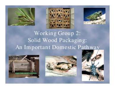 Working Group 2: Solid Wood Packaging: An Important Domestic Pathway Wood Packaging Material Wood packaging material or WPM is also
