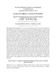 IN THE SUPREME COURT OF TENNESSEE AT KNOXVILLE Assigned on Briefs January 8, 2014 GUADALUPE ARROYO v. STATE OF TENNESSEE Appeal by Permission from the Court of Criminal Appeals Criminal Court for Knox County