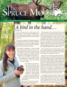 A publication of the SUNY-ESF Adirondack Ecological Center  Summer 2009 A bird in the hand…