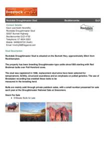 Rockdale Droughtmaster Stud  Bouldercombe QLD