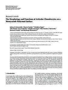 The Morphology and Functions of Articular Chondrocytes on a Honeycomb-Patterned Surface