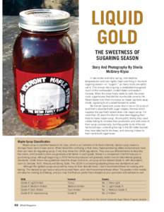LIQUID GOLD THE SWEETNESS OF SUGARING SEASON Story And Photography By Sheila McGrory-Klyza