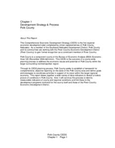 Chapter 1 Development Strategy & Process Polk County About This Report This Comprehensive Economic Development Strategy (CEDS) is the first regional