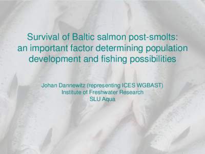 Survival of Baltic salmon post-smolts: an important factor determining population development and fishing possibilities Johan Dannewitz (representing ICES WGBAST) Institute of Freshwater Research SLU Aqua