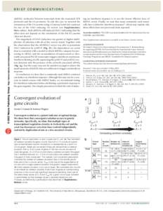 © 2003 Nature Publishing Group http://www.nature.com/naturegenetics  B R I E F C O M M U N I C AT I O N S (dsRNA) molecules between transcripts from the truncated LTR promoter and the U6 promoter. To rule this out, we i