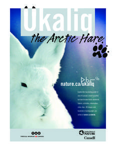 nature.ca/ukaliq Explore the fascinating world of one of Canada’s most beautiful but least-known Arctic mammals. Games, activities, information, video clips, 3D images and