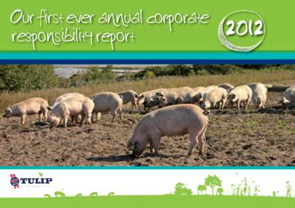 Our first ever annual corporate responsibility report 20 12  Growing Responsibly
