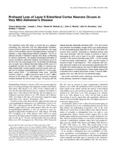 The Journal of Neuroscience, July 15, 1996, 16(14):4491– 4500  Profound Loss of Layer II Entorhinal Cortex Neurons Occurs in Very Mild Alzheimer’s Disease Teresa Go´mez-Isla,1 Joseph L. Price,2 Daniel W. McKeel Jr.,