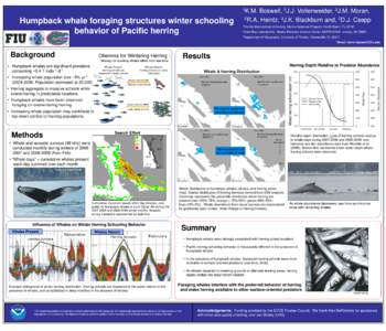 1K.M.  Humpback whale foraging structures winter schooling behavior of Pacific herring  2J.J.
