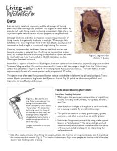 Bats Bats are highly beneficial to people, and the advantages of having them around far outweigh any problems you might have with them. As