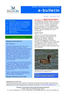 BirdLife International Africa Partnership  e-bulletin October - December 2006 In this e-bulletin: 1