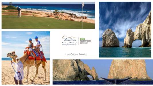 Los Cabos, Mexico  Terramar is a tourism service company that has been in operation since 1994 delivering the best level of service and value in the destination. Terramar’s wide range of services include: Destination 