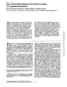 Published May 15, 1995  Spnr, a Murine RNA-binding Protein That Is Localized to Cytoplasmic Microtubules Jill M. S c h u m a c h e r ,