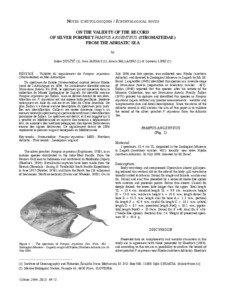 notes ichtyologiques / ichthyological notes ON THE VALIDITY OF THE RECORD OF SILVER POMFRET PAMPUS ARGENTEUS (STROMATEIDAE)