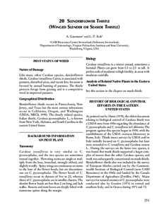 20 SLENDERFLOWER THISTLE (WINGED SLENDER OR SEASIDE THISTLE) A. Gassmann1 and L.-T. Kok2 1  CABI Bioscience Centre Switzerland, Delémont, Switzerland;