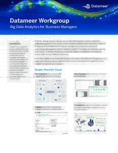 datameer-workgroup-datasheet