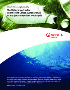 A New Tool for Ensuring Sustainability  The Water Impact Index and the First Carbon-Water Analysis of a Major Metropolitan Water Cycle