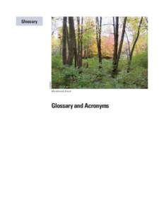 USFWS  Glossary Hardwood forest