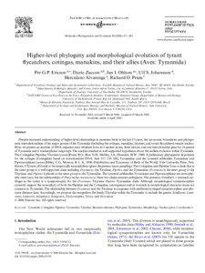 Phylogenetics / Tityridae / Passerine / Cladistics / Fluvicola / Manakin / Spadebill / Black-tailed Tityra / Clade / Tyranni / Neognathae / Ornithology