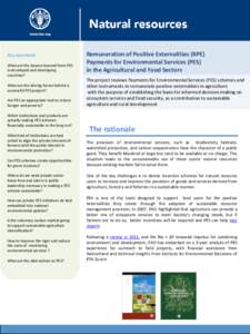 Key questions What are the lessons learned from PES in developed and developing countries? What are the driving forces behind a successful PES project?