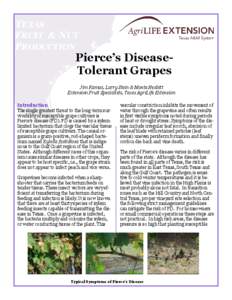 TEXAS FRUIT & NUT PRODUCTION Pierce’s DiseaseTolerant Grapes