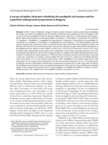 Arachnologische Mitteilungen 40: [removed]Nuremberg, January 2011 A survey of spiders (Araneae) inhabiting the euedaphic soil stratum and the superﬁcial underground compartment in Bulgaria