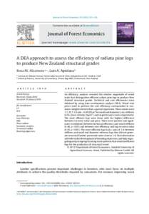 A DEA approach to assess the efficiency of radiata pine logs to produce New Zealand structural grades