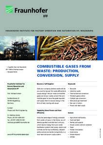 Combustible Gases From Waste, Fraunhofer IFF Magdeburg Project Information