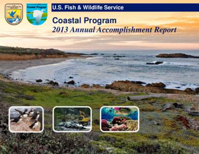00 - CP 2013 Annual Accomplishment Report