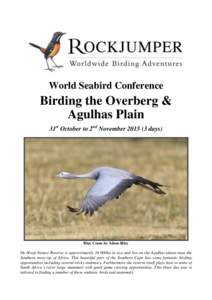 World Seabird Conference  Birding the Overberg & Agulhas Plain 31st October to 2nd November[removed]days)