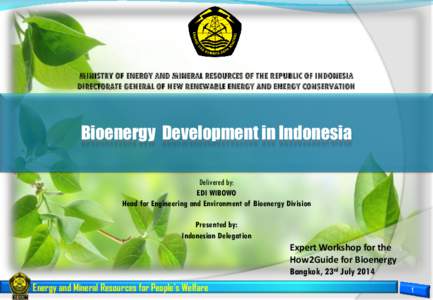 MINISTRY OF ENERGY AND MINERAL RESOURCES OF THE REPUBLIC OF INDONESIA DIRECTORATE GENERAL OF NEW RENEWABLE ENERGY AND ENERGY CONSERVATION Bioenergy Development in Indonesia Delivered by: EDI WIBOWO