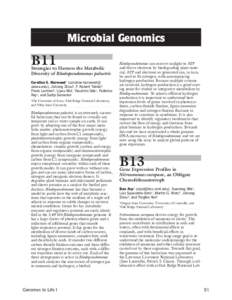 Microbial Genomics  B11 Strategies to Harness the Metabolic Diversity of Rhodopseudomonas palustris