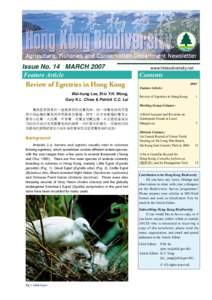 Conservation in Hong Kong / North District /  Hong Kong / Birds of Australia / A Chau / Mai Po Marshes / Tai Tong / Hong Kong Bird Watching Society / Egret / Heron / Hong Kong / Fauna of Asia / Ornithology