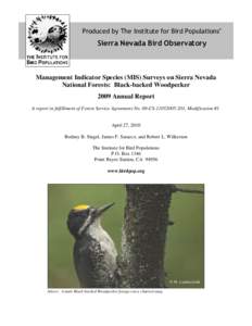 Produced by The Institute for Bird Populations’  Sierra Nevada Bird Observatory Management Indicator Species (MIS) Surveys on Sierra Nevada National Forests: Black-backed Woodpecker