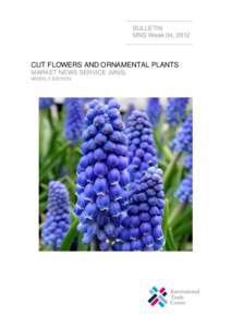 Gerbera / Dianthus caryophyllus / Ruscus / Flowers / Plant taxonomy / Anthurium