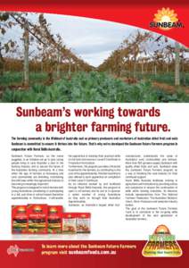 Sunbeam FF Sales Flyer_FOR APPRENTICES2.indd